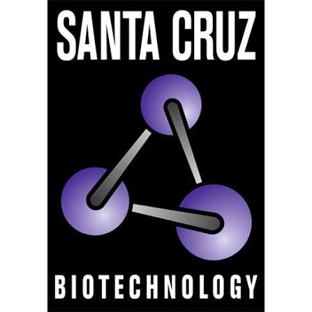 Santa Cruz Biotechnology
