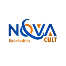 Nova Cult