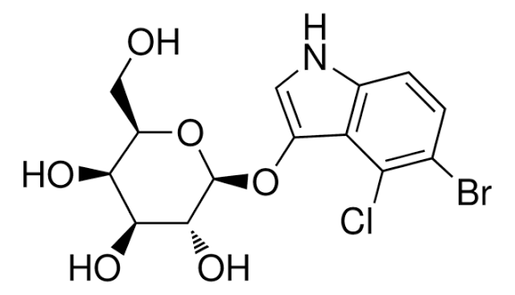 5-Bromo-4-chloro-3-indolyl β-D-galactopyranoside, 1 g